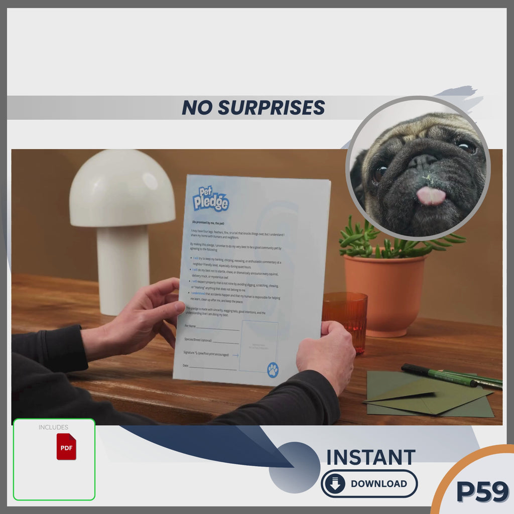 THE PET PLEDGE (From Your Pet’s Point of View)