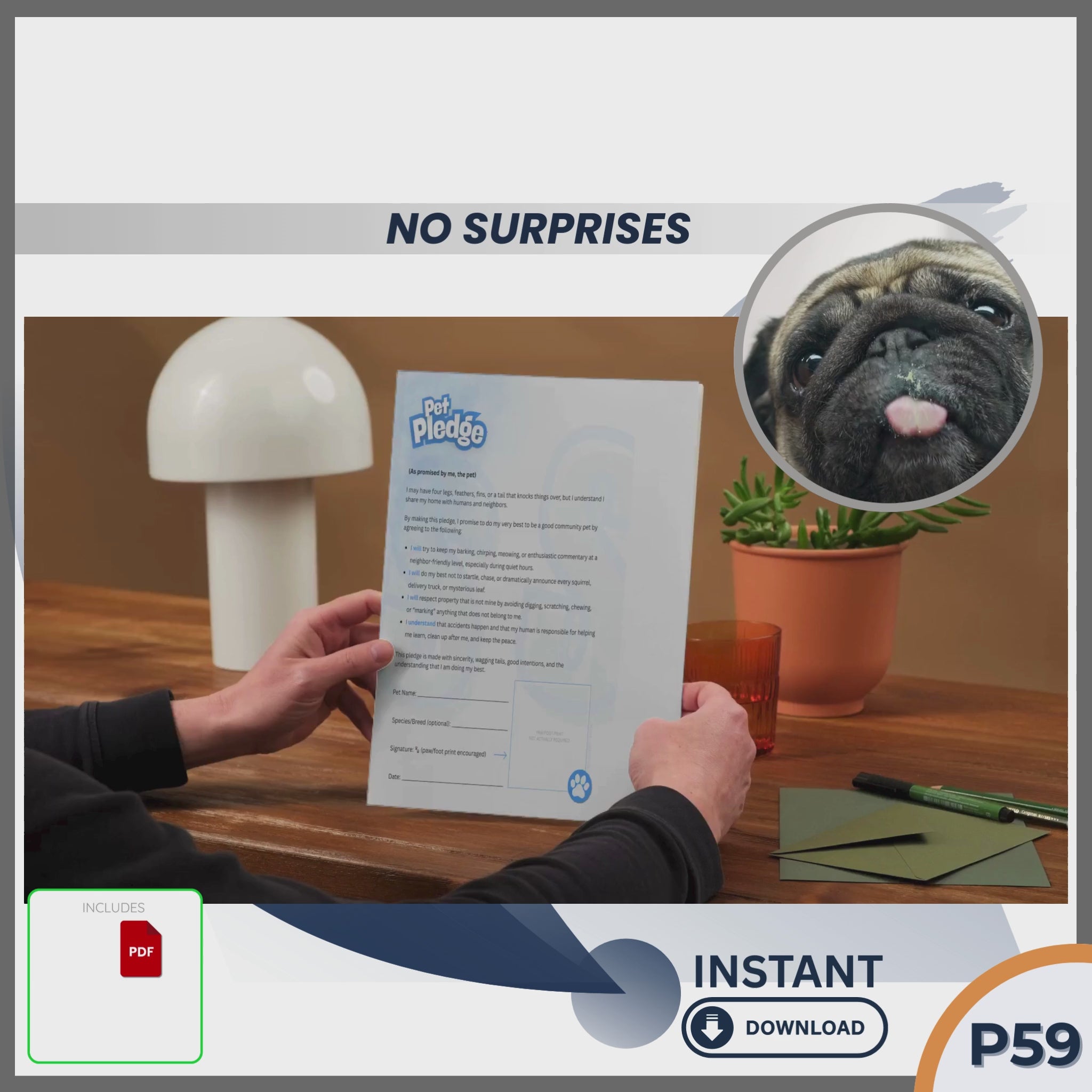 THE PET PLEDGE (From Your Pet’s Point of View)